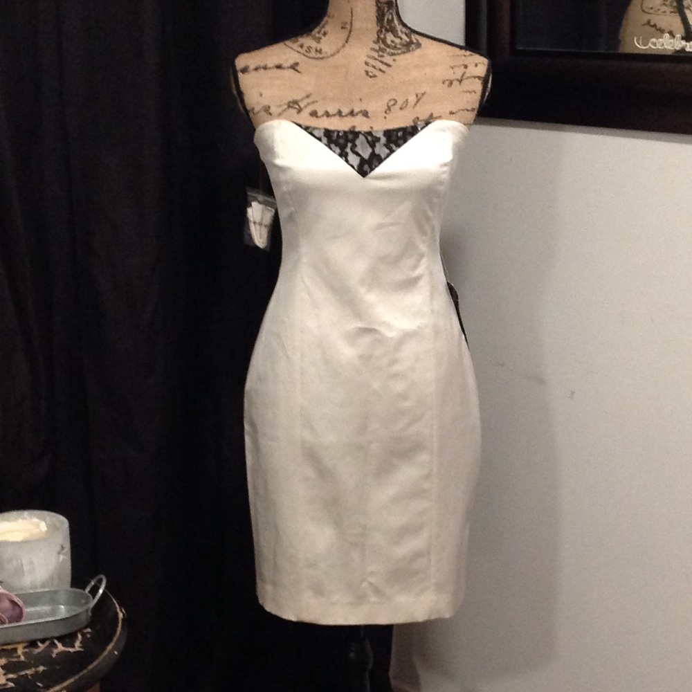 Bebe Mini Dress